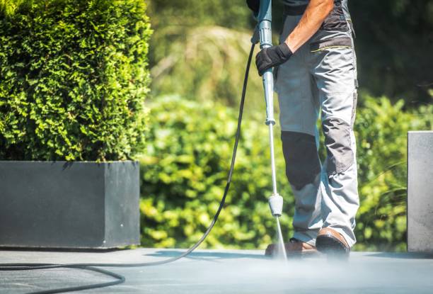 Best Gutter Cleaning and Brightening in Claxton, GA
