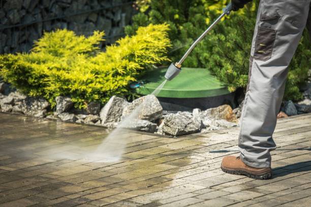 Best Window and Screen Pressure Cleaning in Claxton, GA